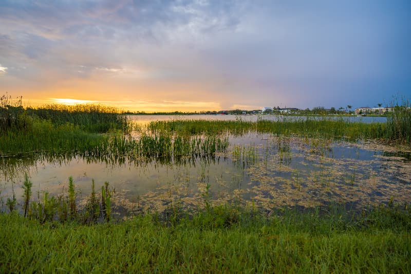 Câmara aprova projeto para proteção e uso sustentável do Pantanal 2 Pantanal