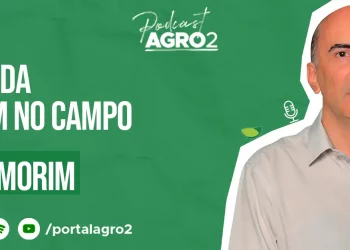Podcast com Andre Amorim