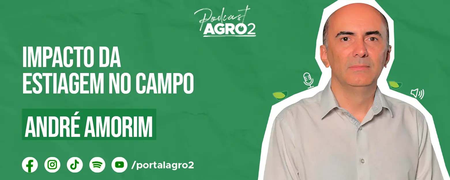 Podcast com Andre Amorim