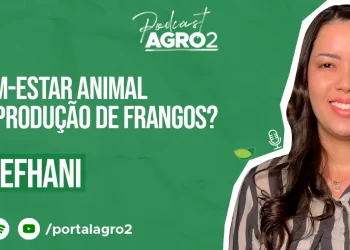 Podcast com Cindy Sthefani