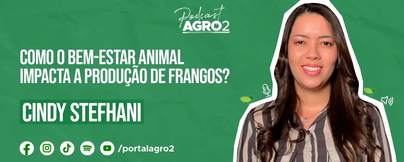 Podcast com Cindy Sthefani