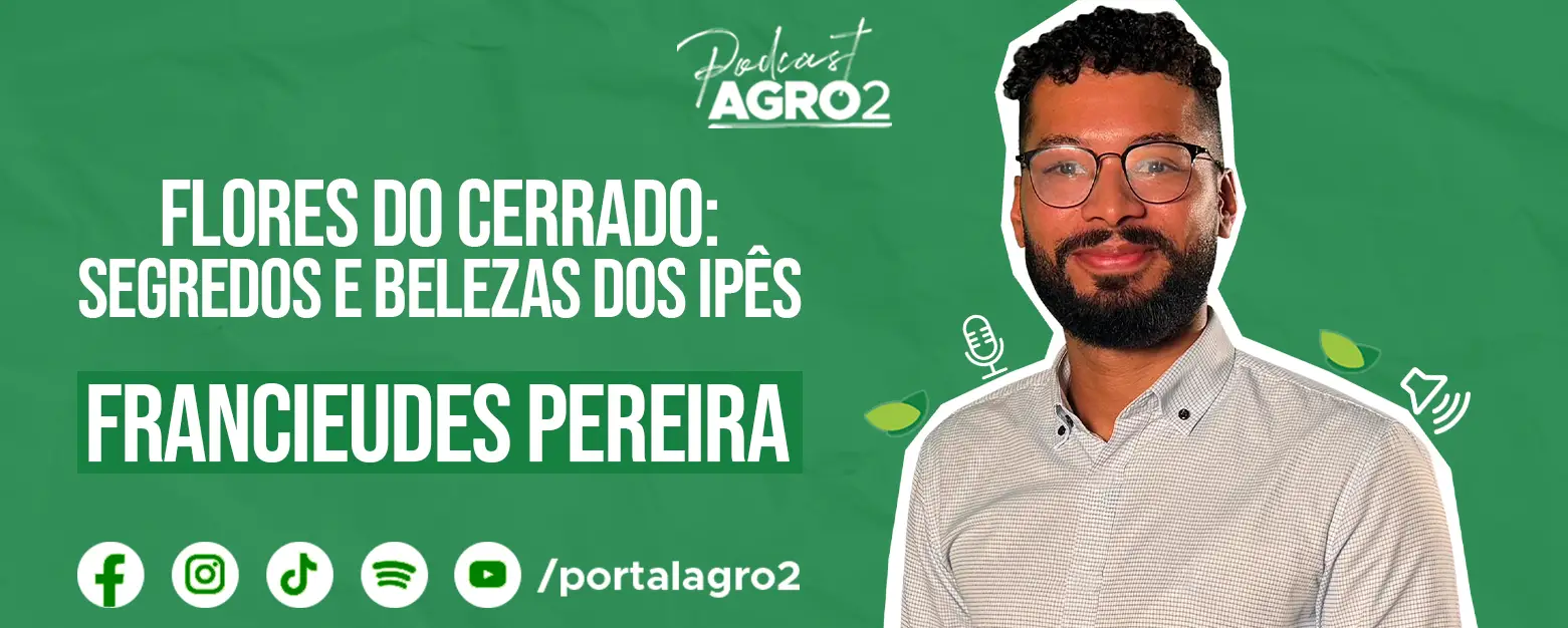 Podcast com Francieudes Pereira