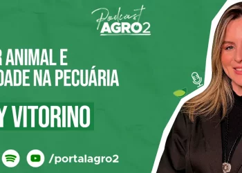 Podcast com Isabelly Vitorino