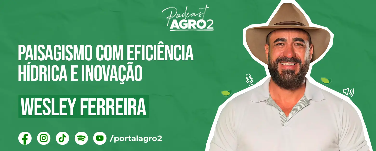 Podcast com Wesley Ferreira
