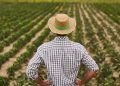 População ocupada no agronegócio atinge 28,2 milhões de pessoas no 2º trimestre