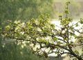 Primavera começa com temporais e queda de temperatura em grande parte do Brasil