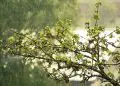 Primavera começa com temporais e queda de temperatura em grande parte do Brasil