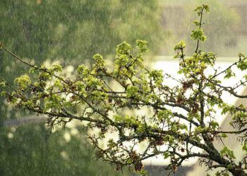Primavera começa com temporais e queda de temperatura em grande parte do Brasil