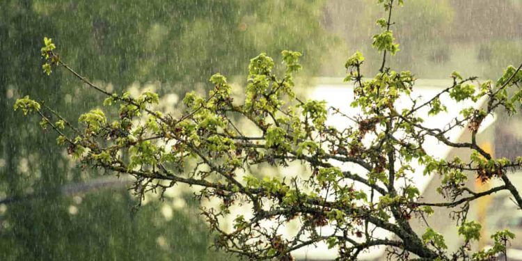 Primavera começa com temporais e queda de temperatura em grande parte do Brasil