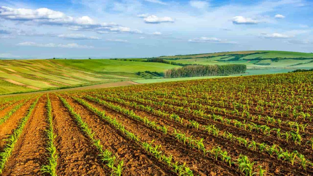 Produção agrícola recorde amplia debate sobre políticas públicas para o campo