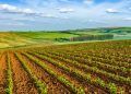 Produção agrícola recorde amplia debate sobre políticas públicas para o campo