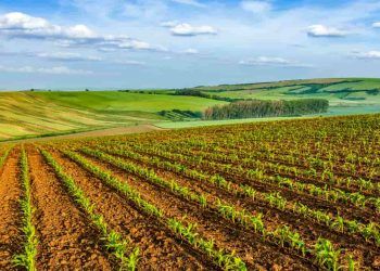 Produção agrícola recorde amplia debate sobre políticas públicas para o campo