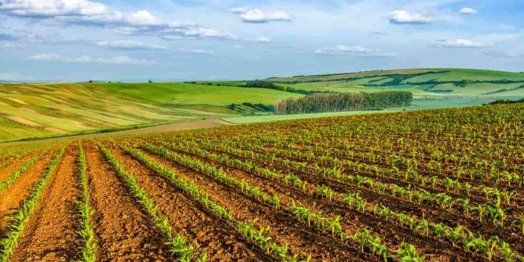 Produção agrícola recorde amplia debate sobre políticas públicas para o campo