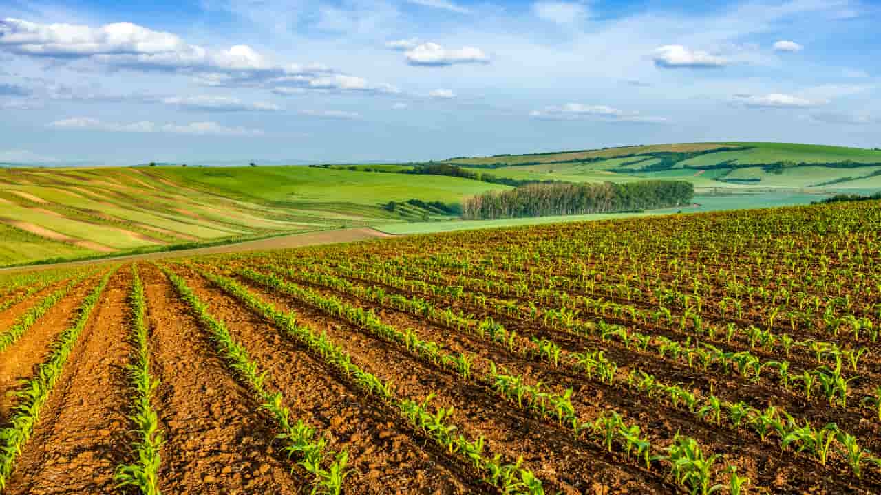 Produção agrícola recorde amplia debate sobre políticas públicas para o campo