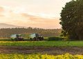Produção agropecuária projeta faturamento de R$ 1,49 trilhão em 2025