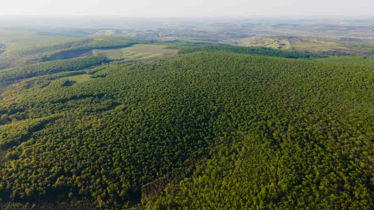 Produção florestal brasileira