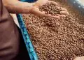 Receita do café cresce 33% em 2025 apesar da queda no volume exportado