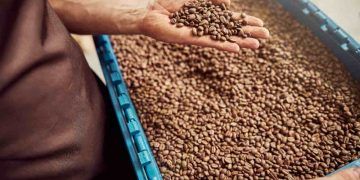 Receita do café cresce 33% em 2025 apesar da queda no volume exportado