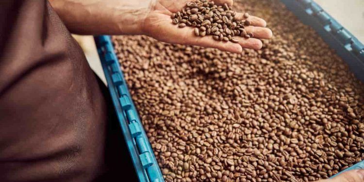 Receita do café cresce 33% em 2025 apesar da queda no volume exportado