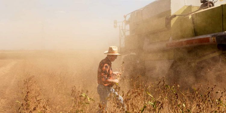 Soja, alho e laranja impulsionam geração de empregos no campo 1 Soja, alho e laranja impulsionam geração de empregos no campo