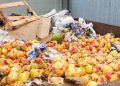 Tecnologia converte resíduos de frutas e hortaliças em mais biogás