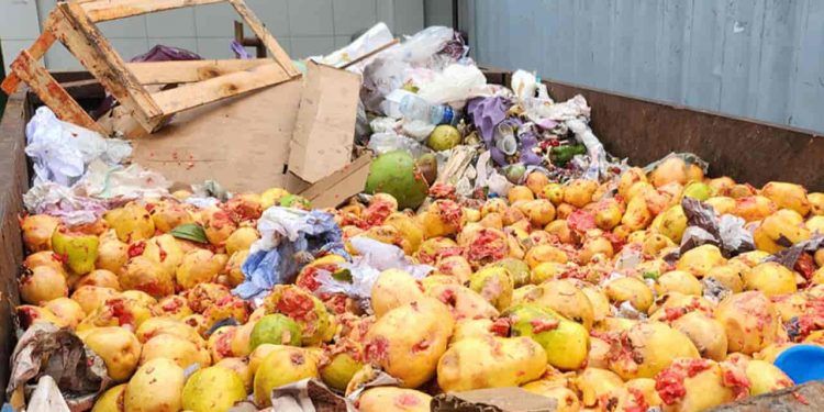 Tecnologia converte resíduos de frutas e hortaliças em mais biogás