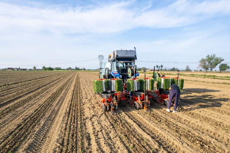 Produção agropecuária projeta faturamento de R$ 1,49 trilhão em 2025 3 VBP
