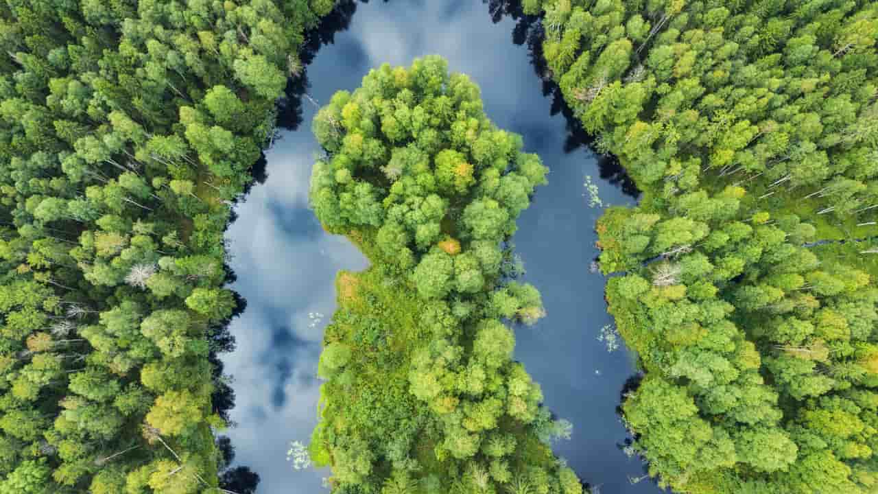 Ações de regularização 