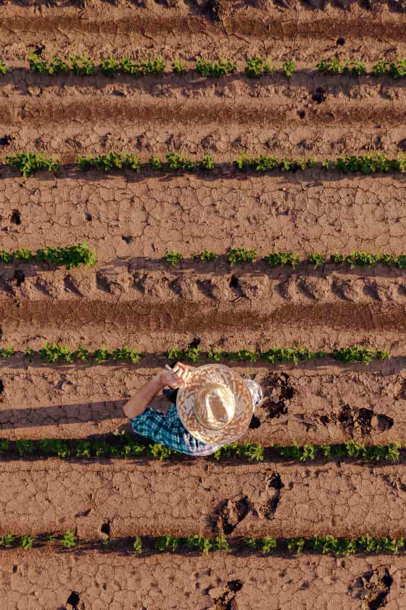 Agricultura