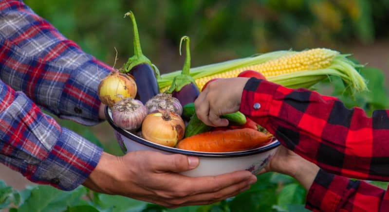 Alimentos da agricultura