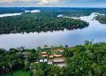 BNDES lança edital para recuperação da Floresta Amazônica na Bacia do Xingu