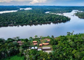 BNDES lança edital para recuperação da Floresta Amazônica na Bacia do Xingu
