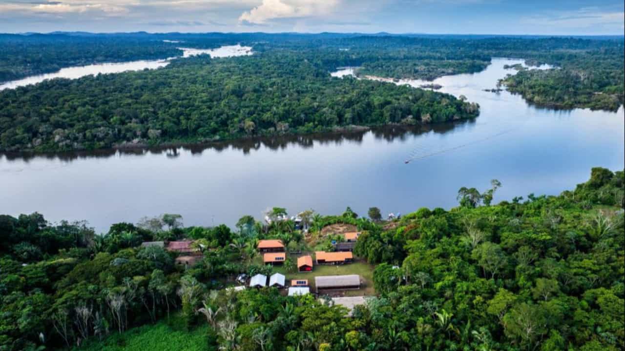 BNDES lança edital para recuperação da Floresta Amazônica na Bacia do Xingu