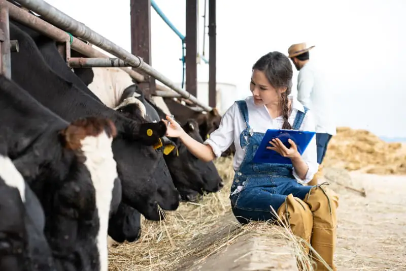 Calendário de manejo