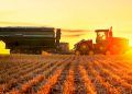 Conheça as dez cidades com maior valor de produção agrícola no Brasil em 2024