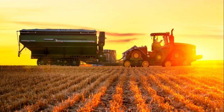 Conheça as dez cidades com maior valor de produção agrícola no Brasil em 2024