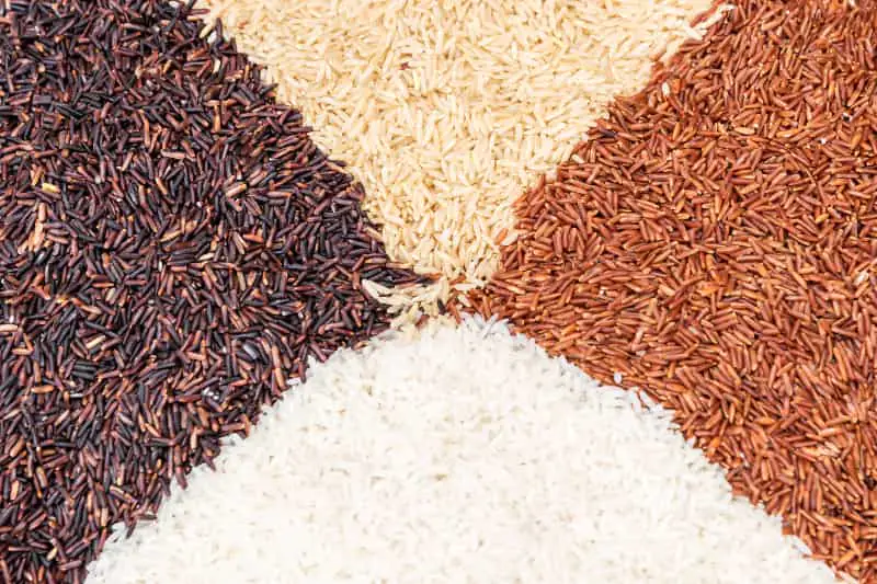Contratos de opção de venda de arroz