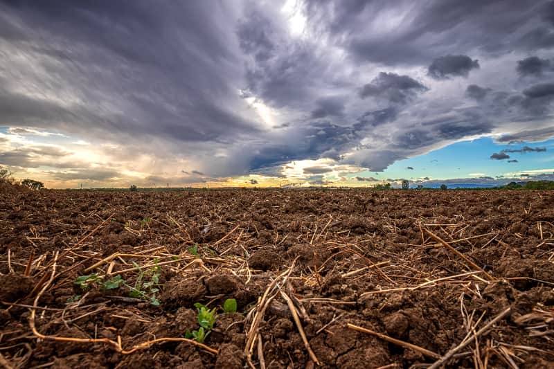 Câmara aprova prioridade no acesso a recursos para famílias afetadas por desastres climáticos 2 Desastres naturais