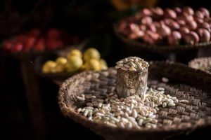 Conab abre chamada do PAA para distribuição de sementes a comunidades tradicionais 2 Distribuição de sementes