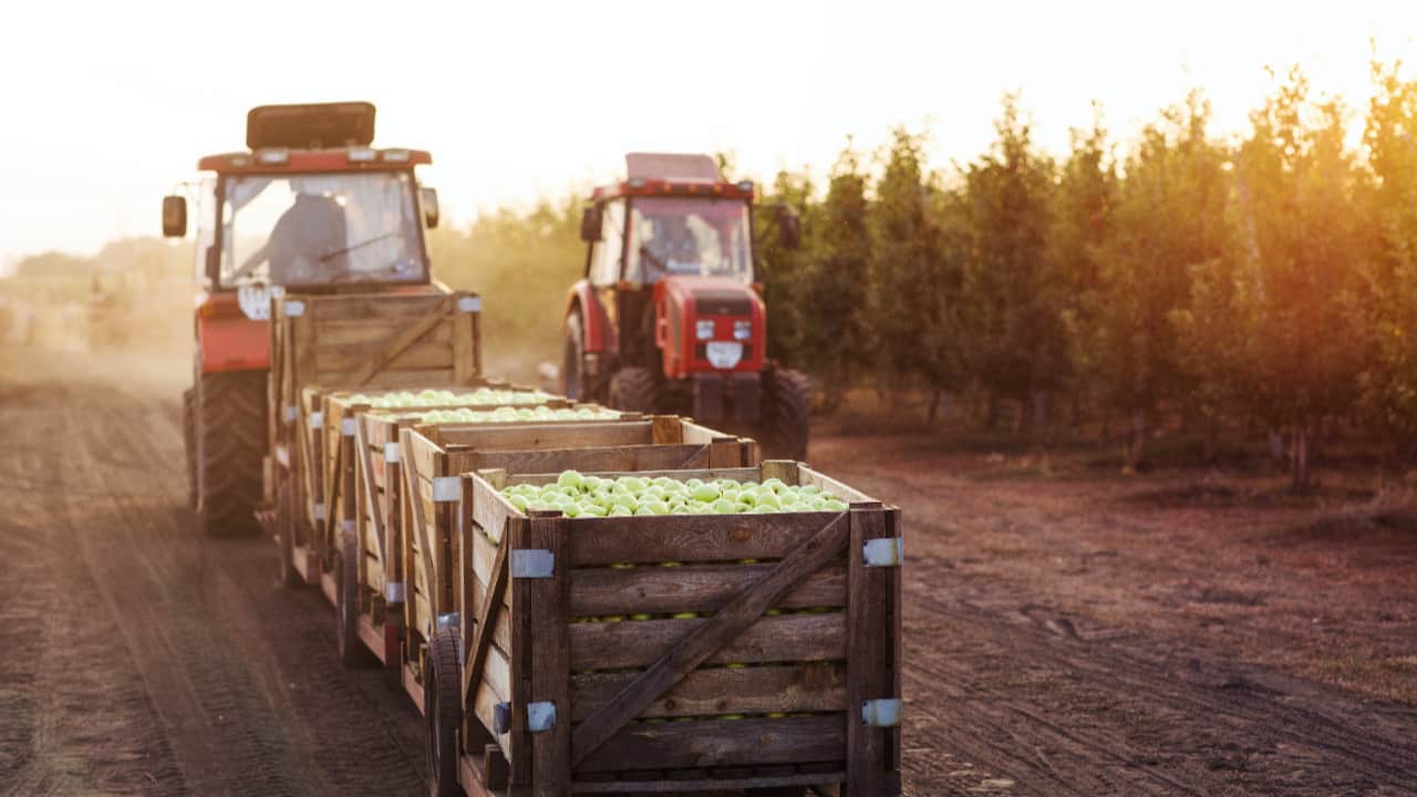 Espanha supera EUA como segundo destino do agro baiano em julho