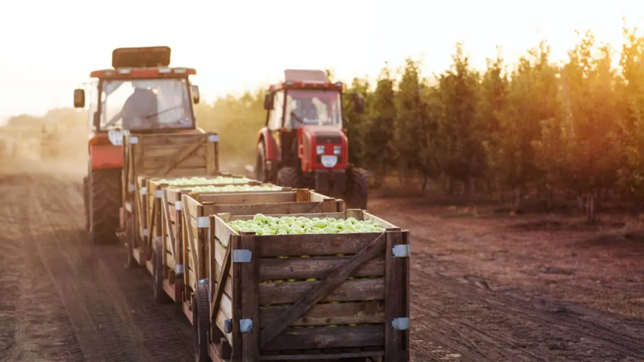 Exportações do agronegócio chegam a US$ 15,49 bilhões e registram recorde mensal 2 Exportações do agro