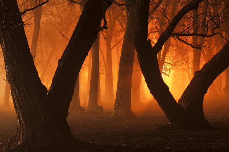 MMA prevê risco menos severo de incêndios florestais em 2025 2 Incêndios florestais