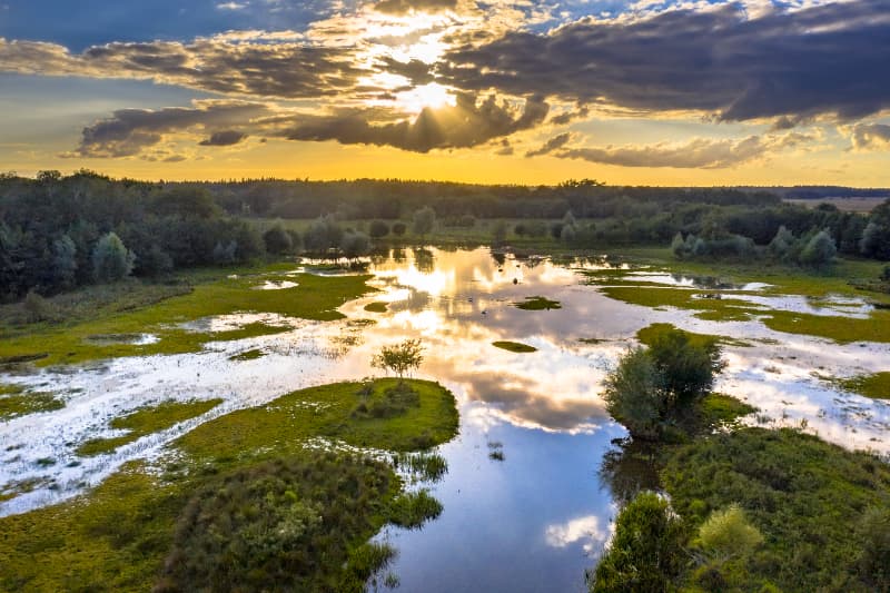 Câmara aprova projeto para proteção e uso sustentável do Pantanal 3 Pantanal