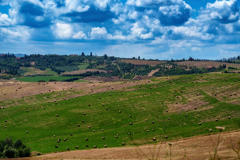 Brasil busca capital chinês para recuperar hectares de pastagens degradadas 2 pastagens degradadas 1