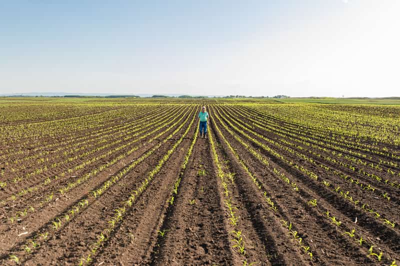 Produção agrícola recorde amplia debate sobre políticas públicas para o campo 3 Politicas publicas para o campo