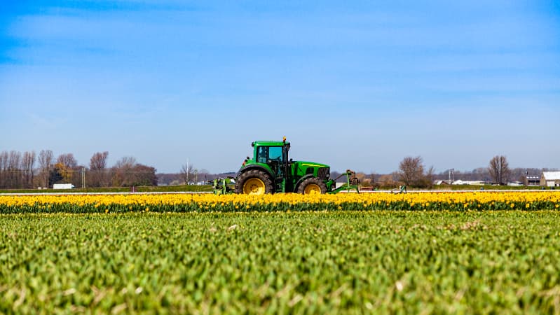 Produção agropecuária projeta faturamento de R$ 1,49 trilhão em 2025 2 Produção agropecuaria