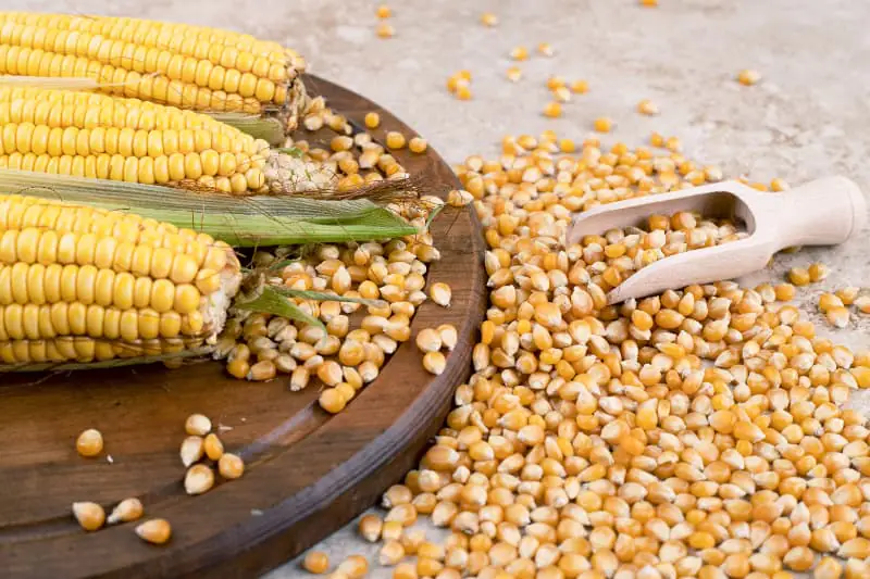 Produtos agropecuários