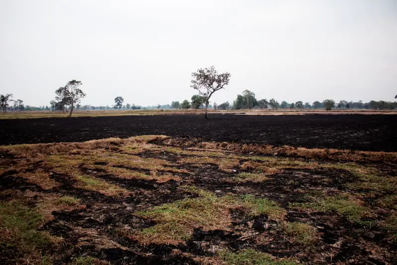 Recuperação de áreas degradadas