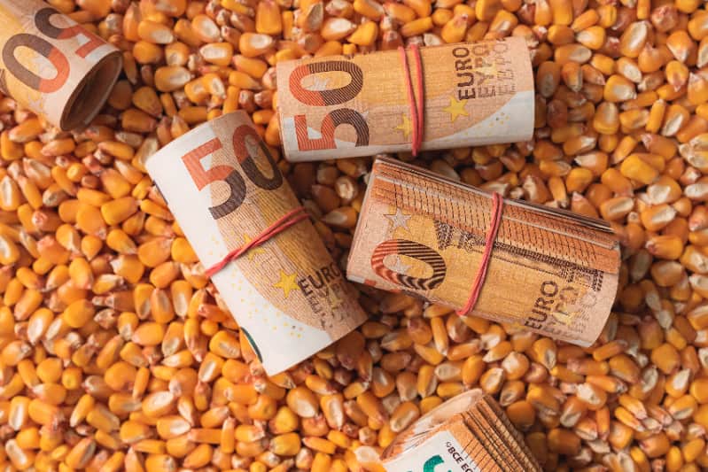 Medida Provisória libera R$ 12 bilhões para renegociação de dívidas rurais 2 Renegociação de dividas