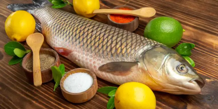 Abipesca pede que pescado brasileiro seja prioridade nas negociações com os Estados Unidos 1 Foto: Envato